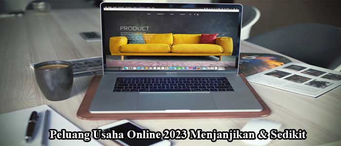 7 Peluang Usaha Online 2023 Menjanjikan & Sedikit Pesaing